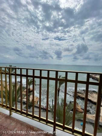 Apartamento en venta en Torrevieja (Alicante)