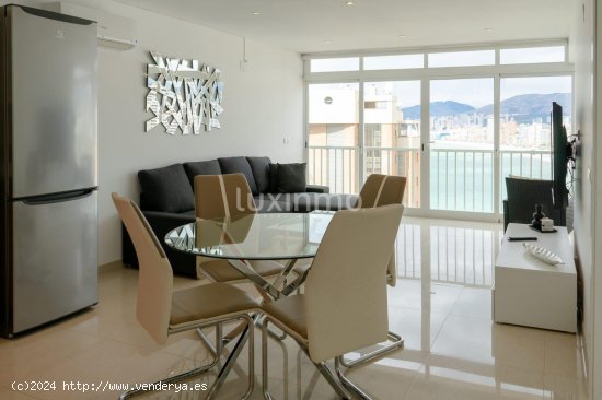 Apartamento en alquiler en Benidorm (Alicante)