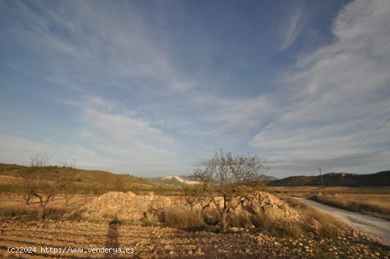 Solar en venta en Abanilla (Murcia)