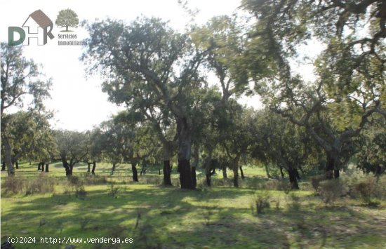 Solar en venta en Badajoz (Badajoz)