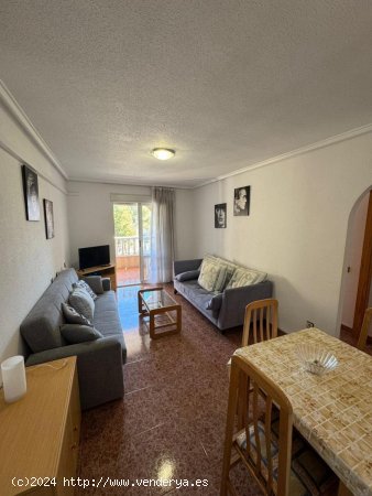 Apartamento en venta en Torrevieja (Alicante)