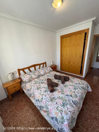 Apartamento en venta en Torrevieja (Alicante)