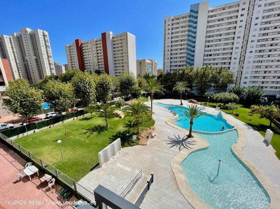  Apartamento en venta en Benidorm (Alicante) 