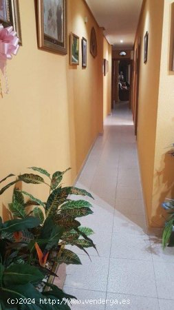 Apartamento en venta en Torrevieja (Alicante)