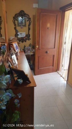 Apartamento en venta en Torrevieja (Alicante)