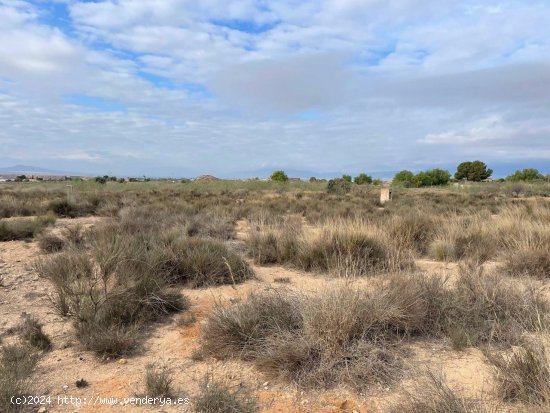  Solar en venta en Alhama de Murcia (Murcia) 