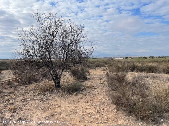 Solar en venta en Alhama de Murcia (Murcia)