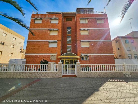 Chalet en venta en Guardamar del Segura (Alicante)