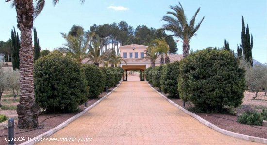 Villa en venta en Penàguila (Alicante)