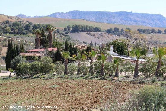 Finca en venta en Pizarra (Málaga)