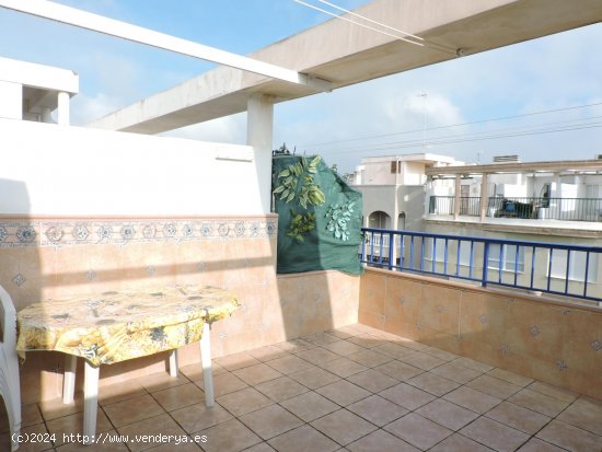 Apartamento en alquiler en Guardamar del Segura (Alicante)