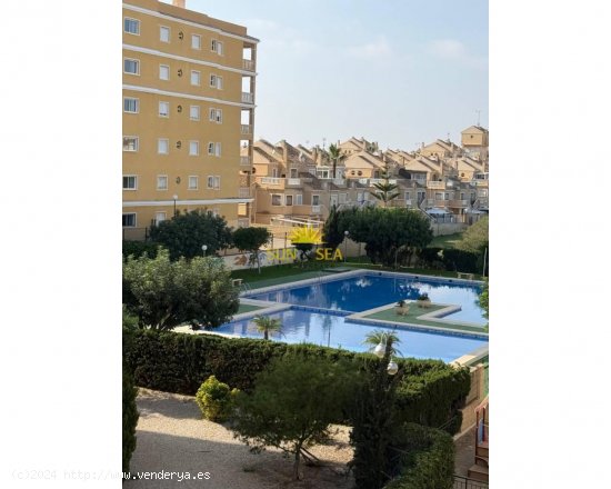 Apartamento en alquiler en Torrevieja (Alicante)