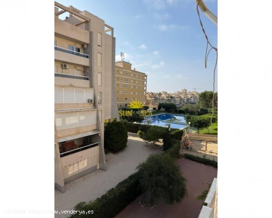 Apartamento en alquiler en Torrevieja (Alicante)