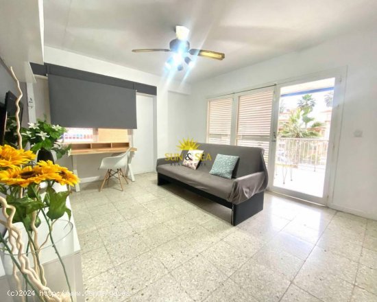 Apartamento en alquiler en Torrevieja (Alicante)