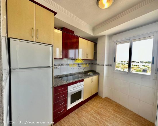 Apartamento en alquiler en Orihuela (Alicante)