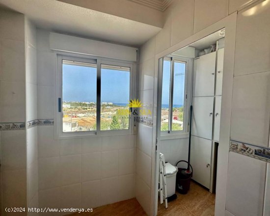 Apartamento en alquiler en Orihuela (Alicante)