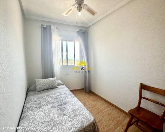 Apartamento en alquiler en Orihuela (Alicante)