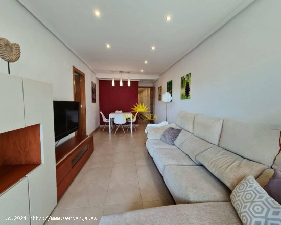 Apartamento en alquiler en Torrevieja (Alicante)