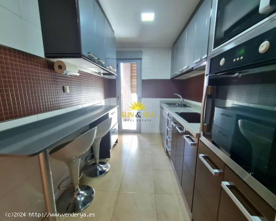 Apartamento en alquiler en Torrevieja (Alicante)