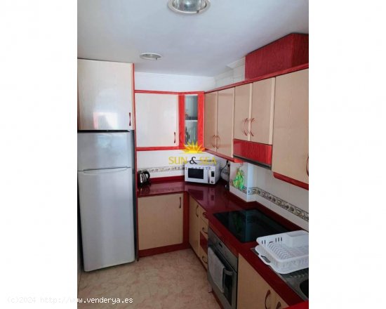 Apartamento en alquiler en Torrevieja (Alicante)