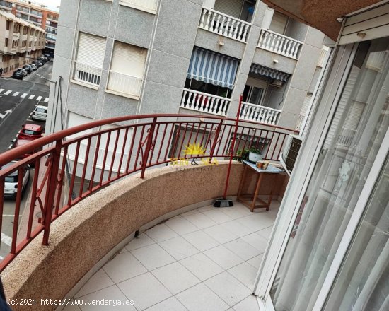 Apartamento en alquiler en Torrevieja (Alicante)