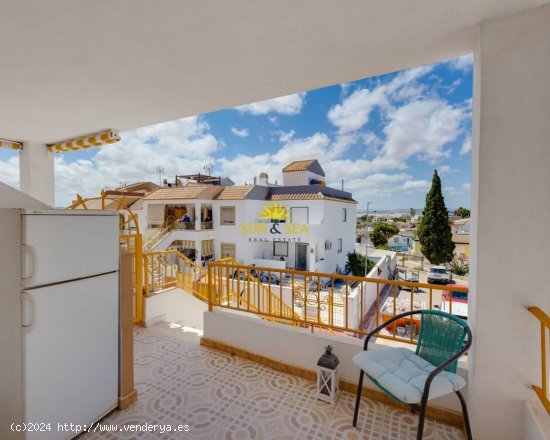 Casa en alquiler en Torrevieja (Alicante)