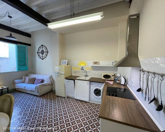 Estudio en alquiler en Alicante (Alicante)