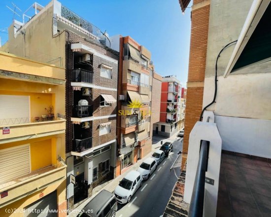 Apartamento en alquiler en Alicante (Alicante)