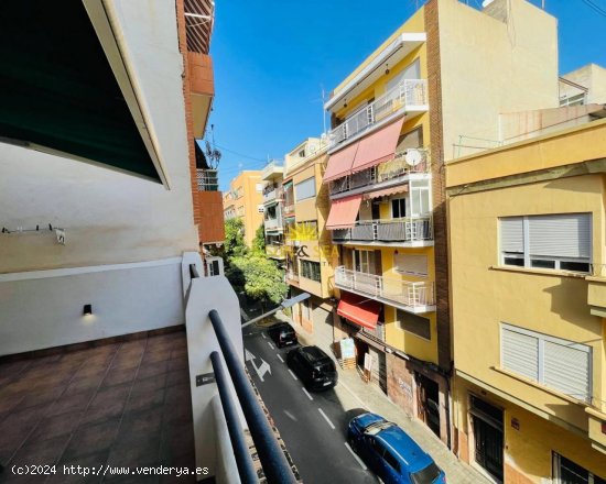 Apartamento en alquiler en Alicante (Alicante)