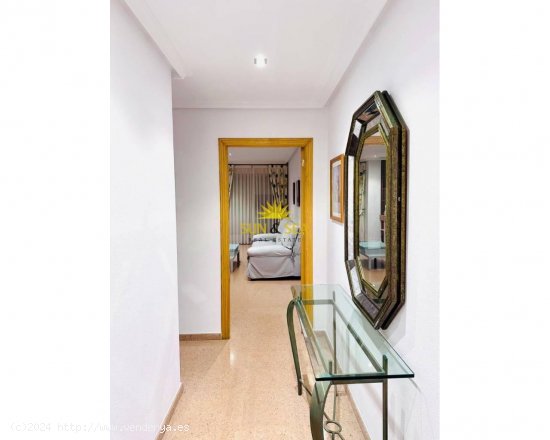 Apartamento en alquiler en Elche (Alicante)