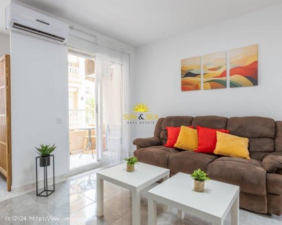 Apartamento en alquiler en Torrevieja (Alicante)