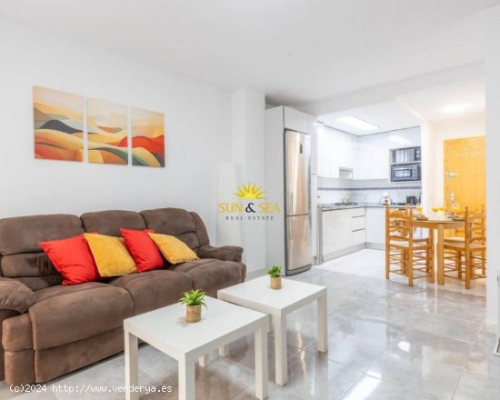 Apartamento en alquiler en Torrevieja (Alicante)