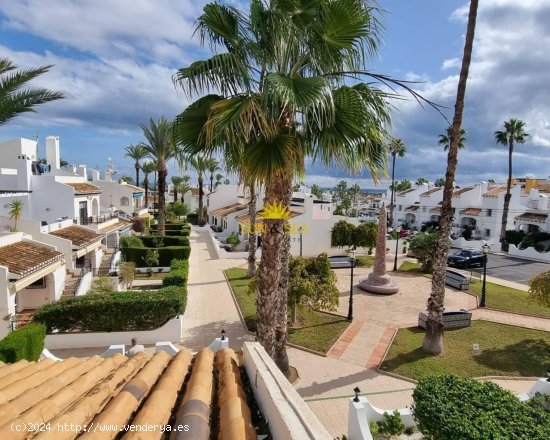 Apartamento en alquiler en Orihuela (Alicante)