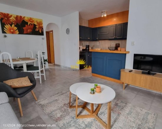 Apartamento en alquiler en Orihuela (Alicante)