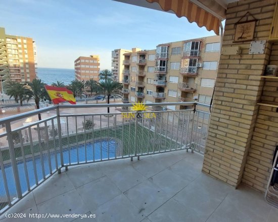 Apartamento en alquiler en Elche (Alicante)