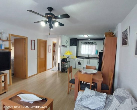 Apartamento en alquiler en Elche (Alicante)