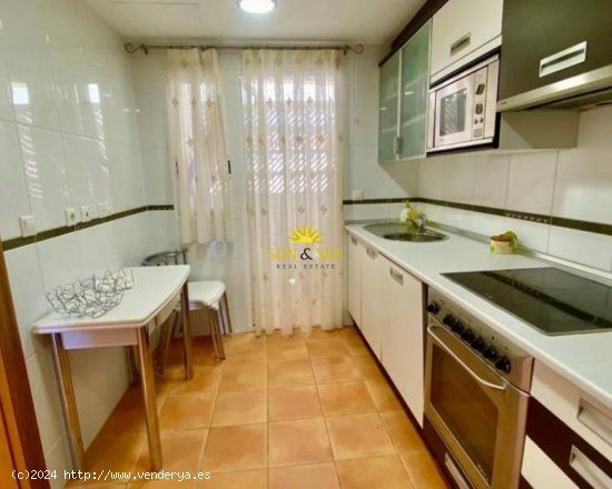 Apartamento en alquiler en Orihuela (Alicante)