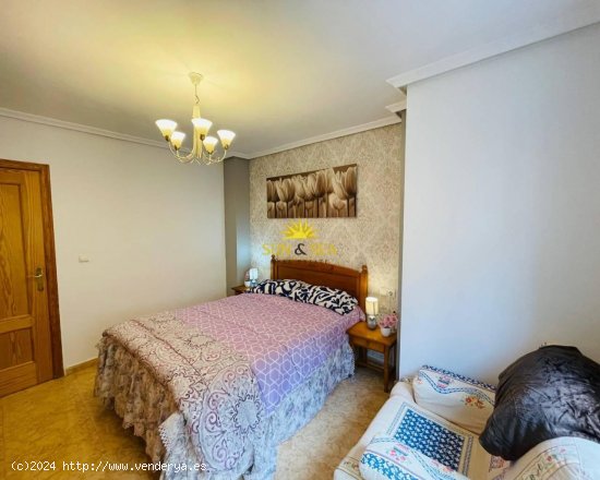 Apartamento en alquiler en Torrevieja (Alicante)