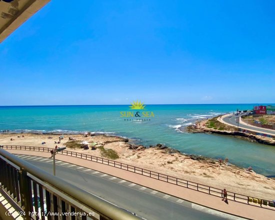 Apartamento en alquiler en Torrevieja (Alicante)