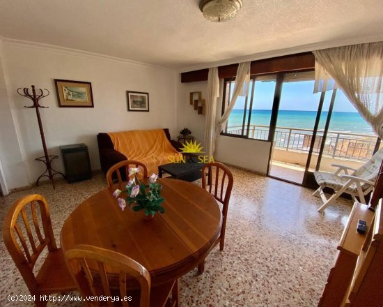 Apartamento en alquiler en Torrevieja (Alicante)