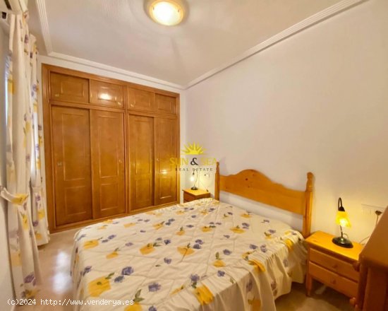 Apartamento en alquiler en Torrevieja (Alicante)