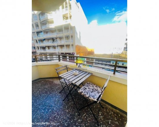 Apartamento en alquiler en Torrevieja (Alicante)