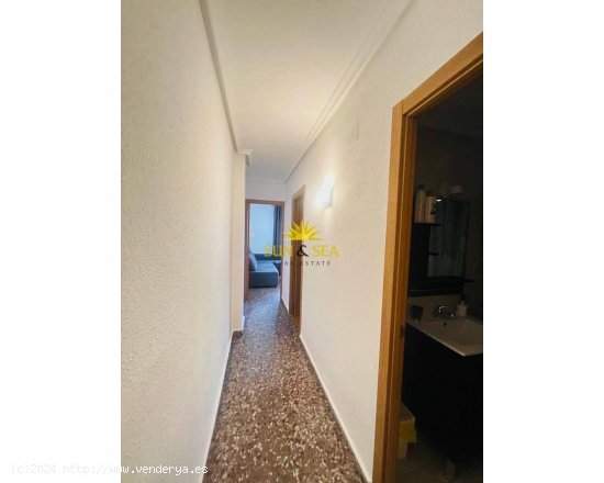 Apartamento en alquiler en Torrevieja (Alicante)