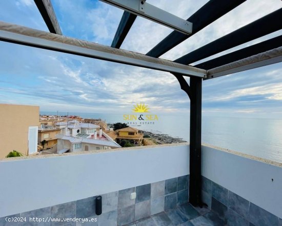 Apartamento en alquiler en Torrevieja (Alicante)