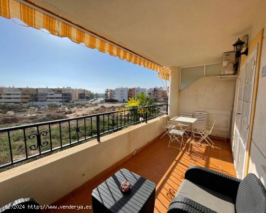 Apartamento en alquiler en Orihuela (Alicante)