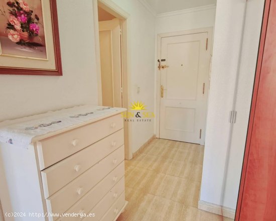 Apartamento en alquiler en Torrevieja (Alicante)