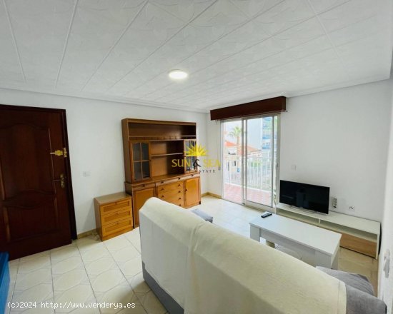 Apartamento en alquiler en Torrevieja (Alicante)