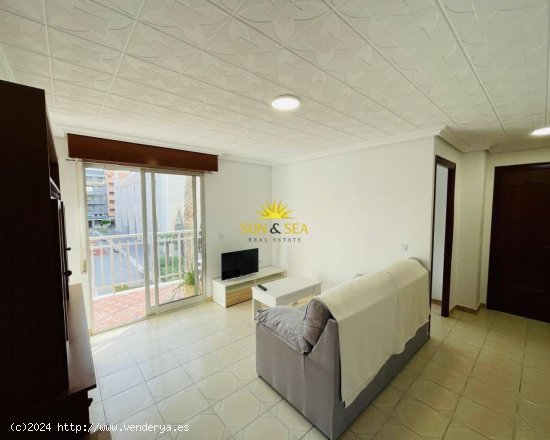 Apartamento en alquiler en Torrevieja (Alicante)