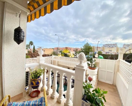 Casa en alquiler en Torrevieja (Alicante)