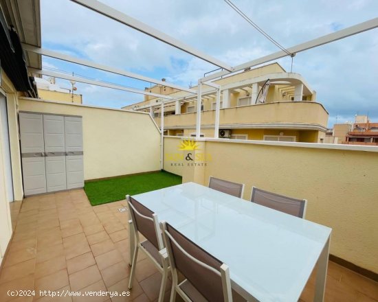 Apartamento en alquiler en Torrevieja (Alicante)